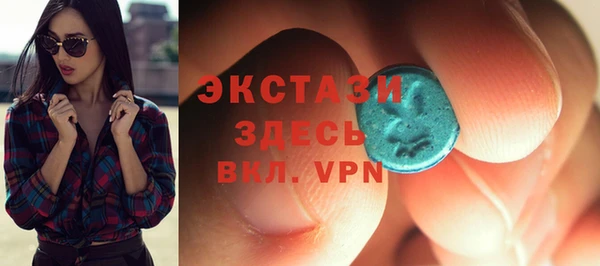 хмурый Болотное